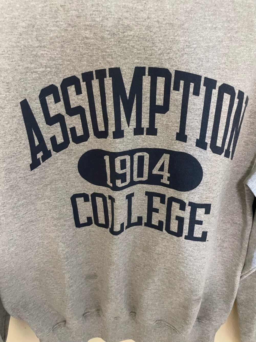 ✨Champion SweatShirt Size Small - Picture 2 of 5